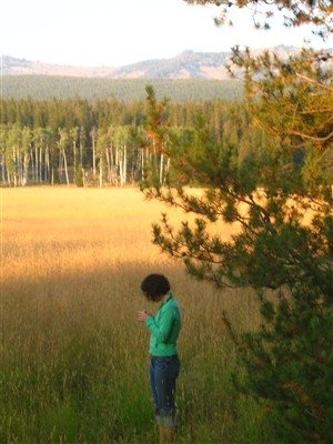 Yellowstone National Park