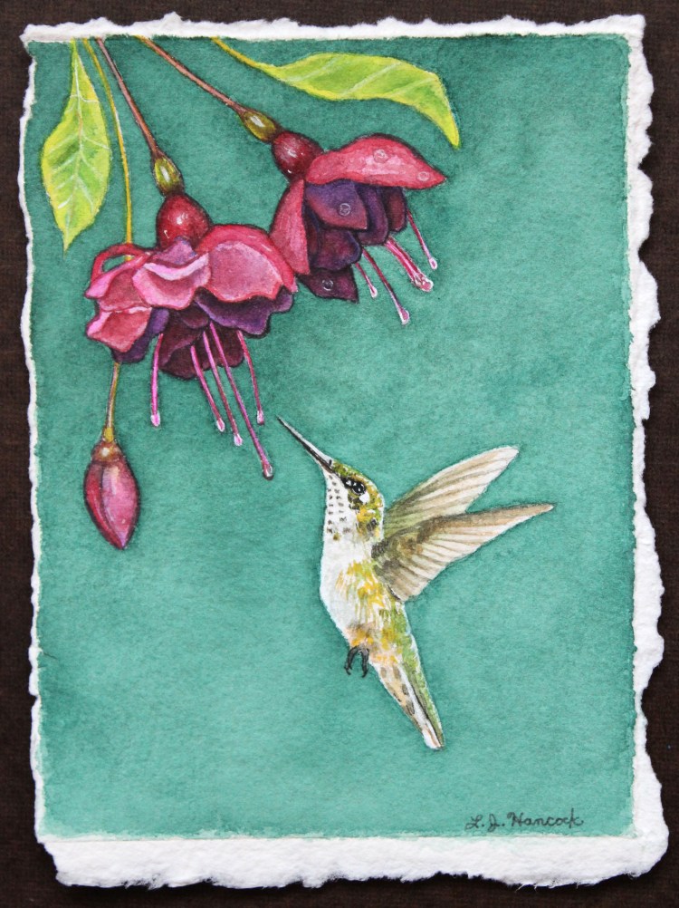 FemaleRubyHummingbird